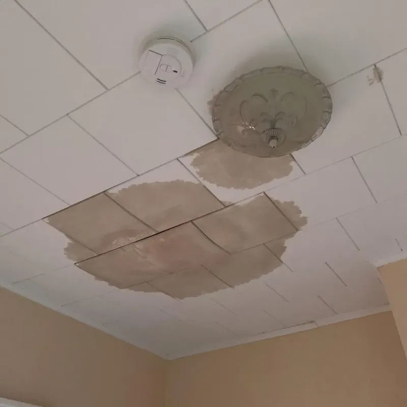 Ceiling Water Damage Repair in Meraux, LA