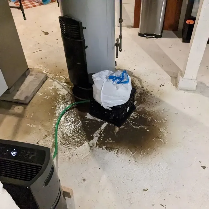 Sewage Backup Cleanup Service in Meraux, LA